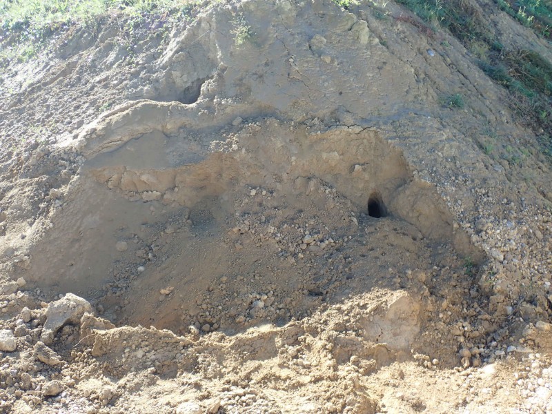 Erde kaufen Baselland Humus kaufen Baselland Sand kaufen Baselland Löss kaufen Baselland Kies kaufen Baselland